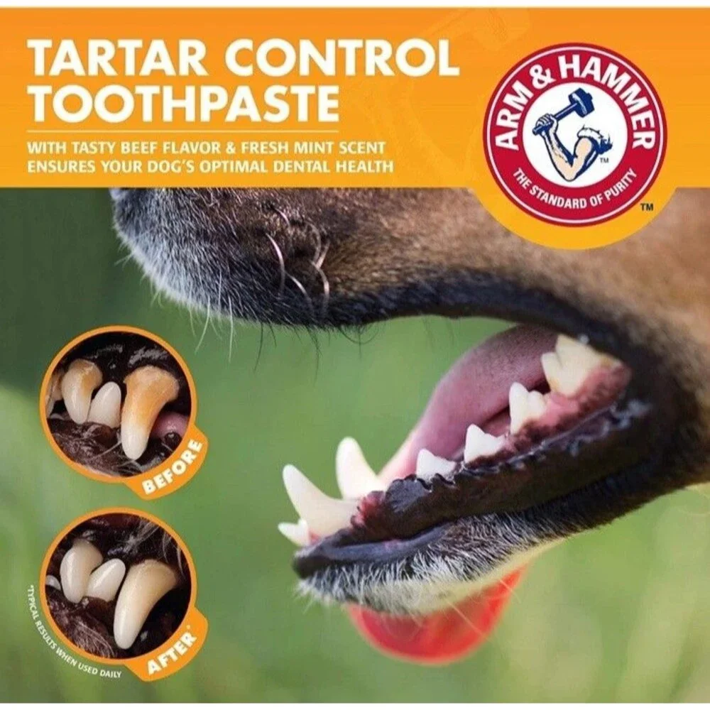 2-Pack Dog Dental Kit BONUS Enzymatic Beef Flavor Mint Arm & Hammer Toothbrush